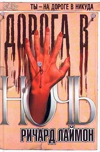 Обложка Дорога в ночь