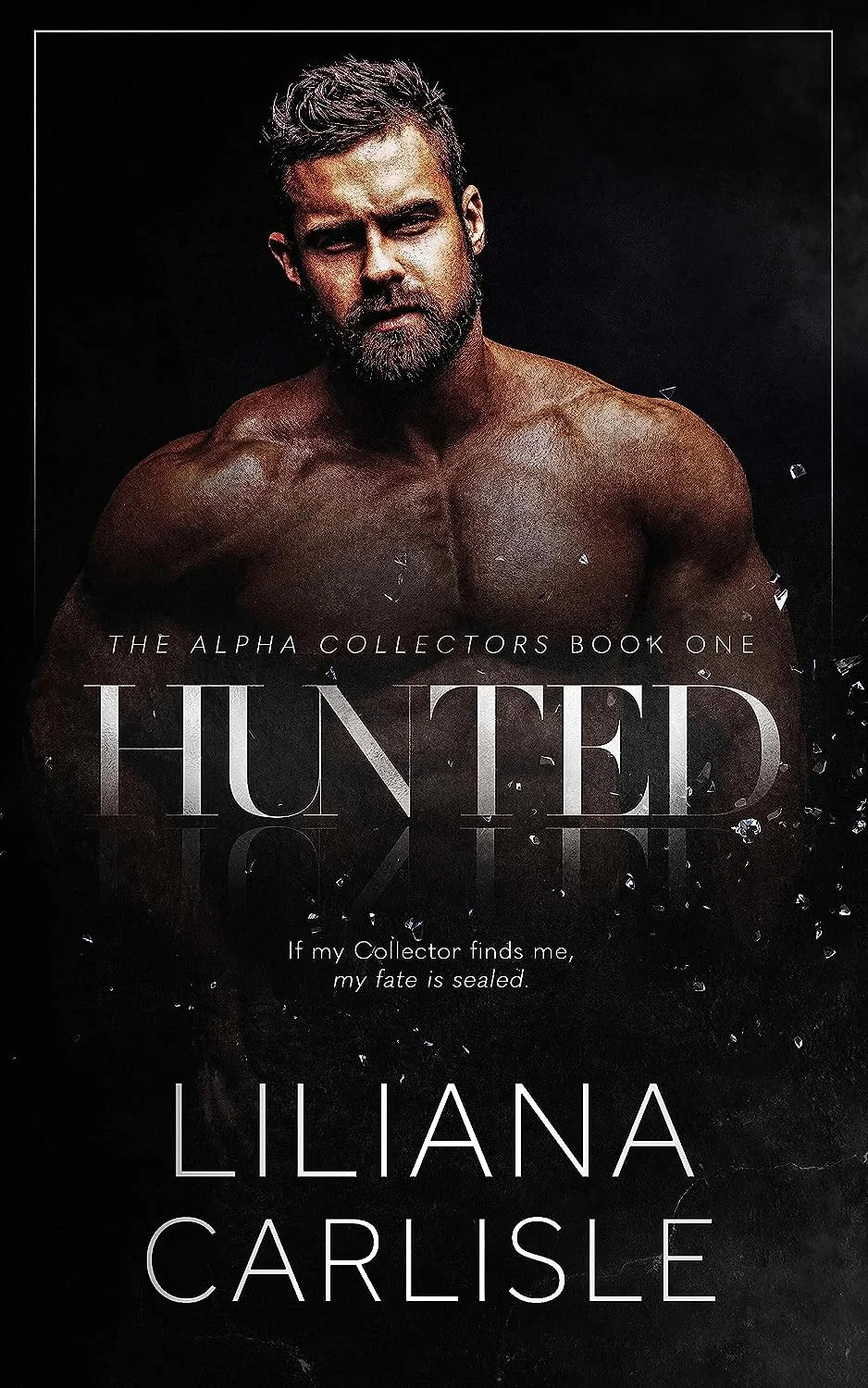 Обложка Преследуемая