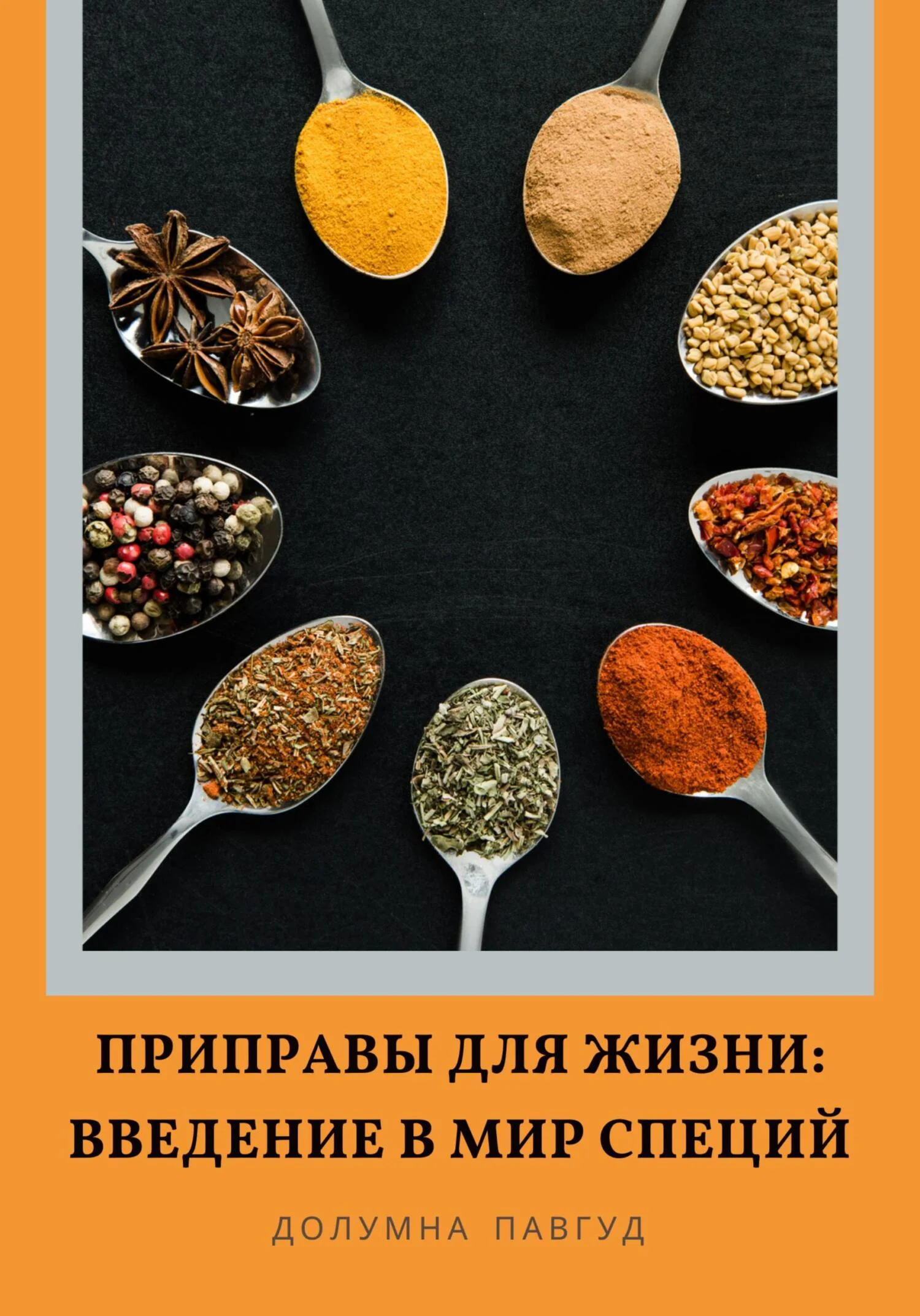 Обложка Приправы для жизни: Введение в мир специй