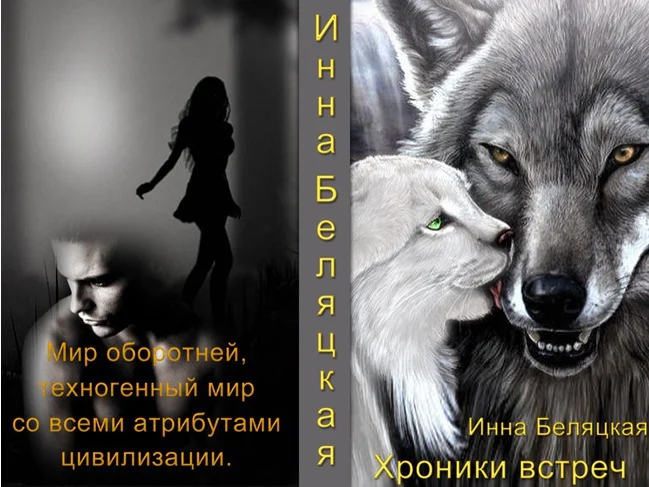 Обложка Хроники встреч (СИ)