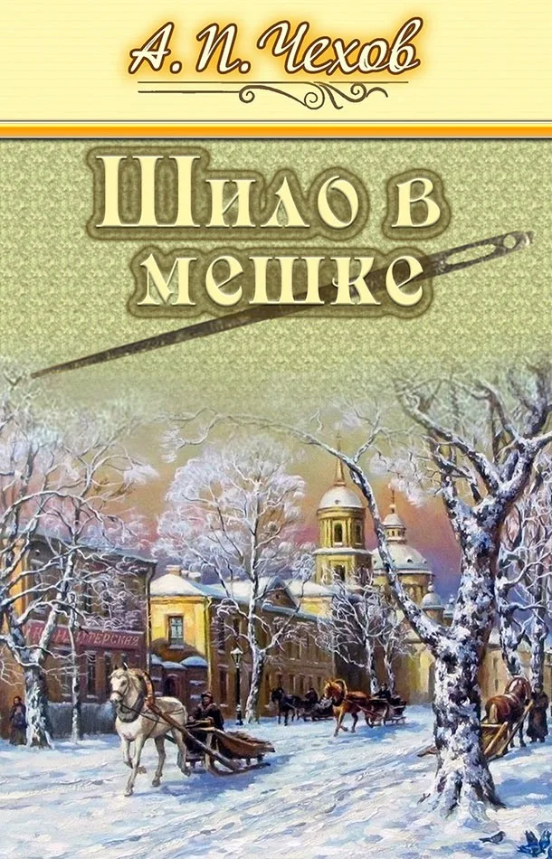 Обложка Шило в мешке
