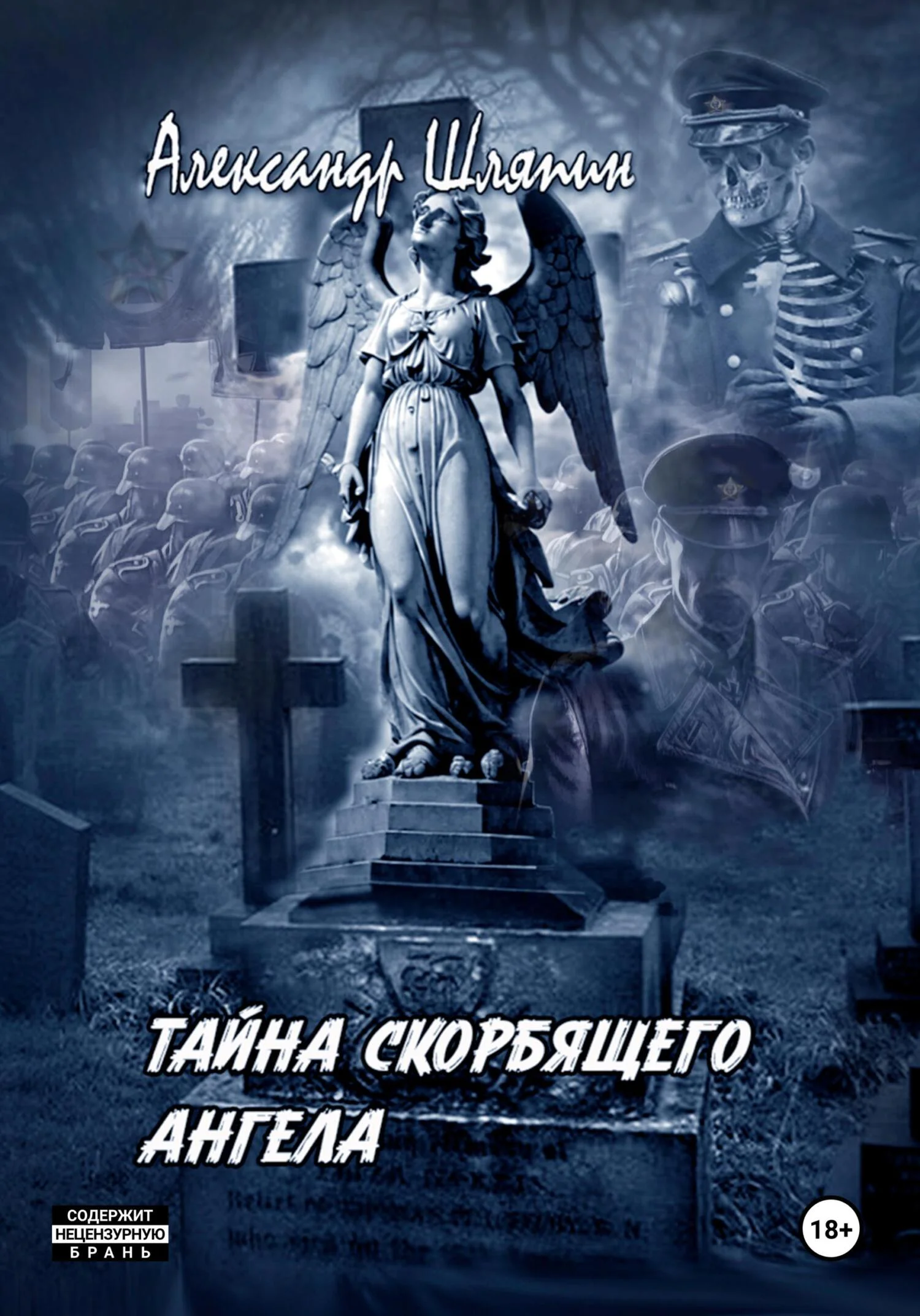 Обложка Тайна скорбящего ангела