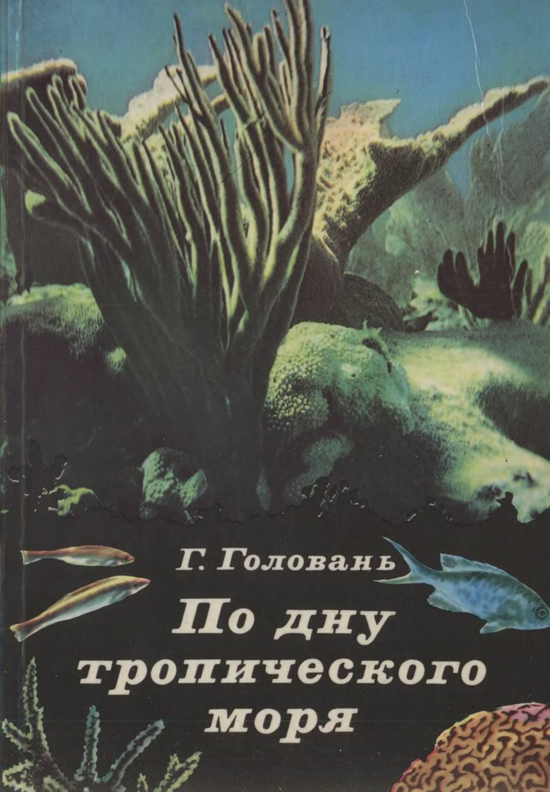 Обложка По дну тропического моря