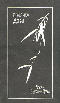 Обложка Практика дзэн