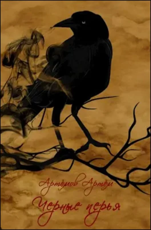 Обложка Черные перья