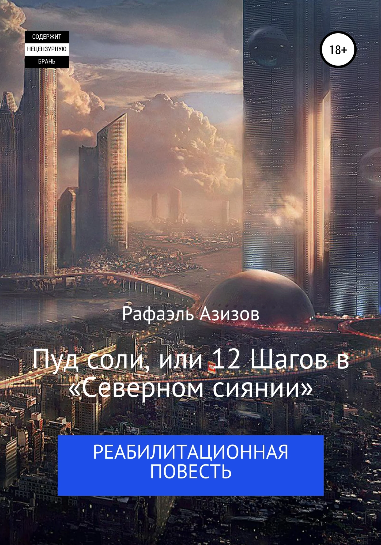 Обложка Пуд соли, или 12 Шагов в «Северном сиянии»