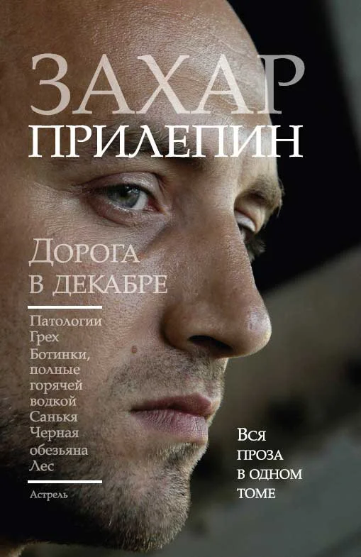 Обложка Дорога в декабре
