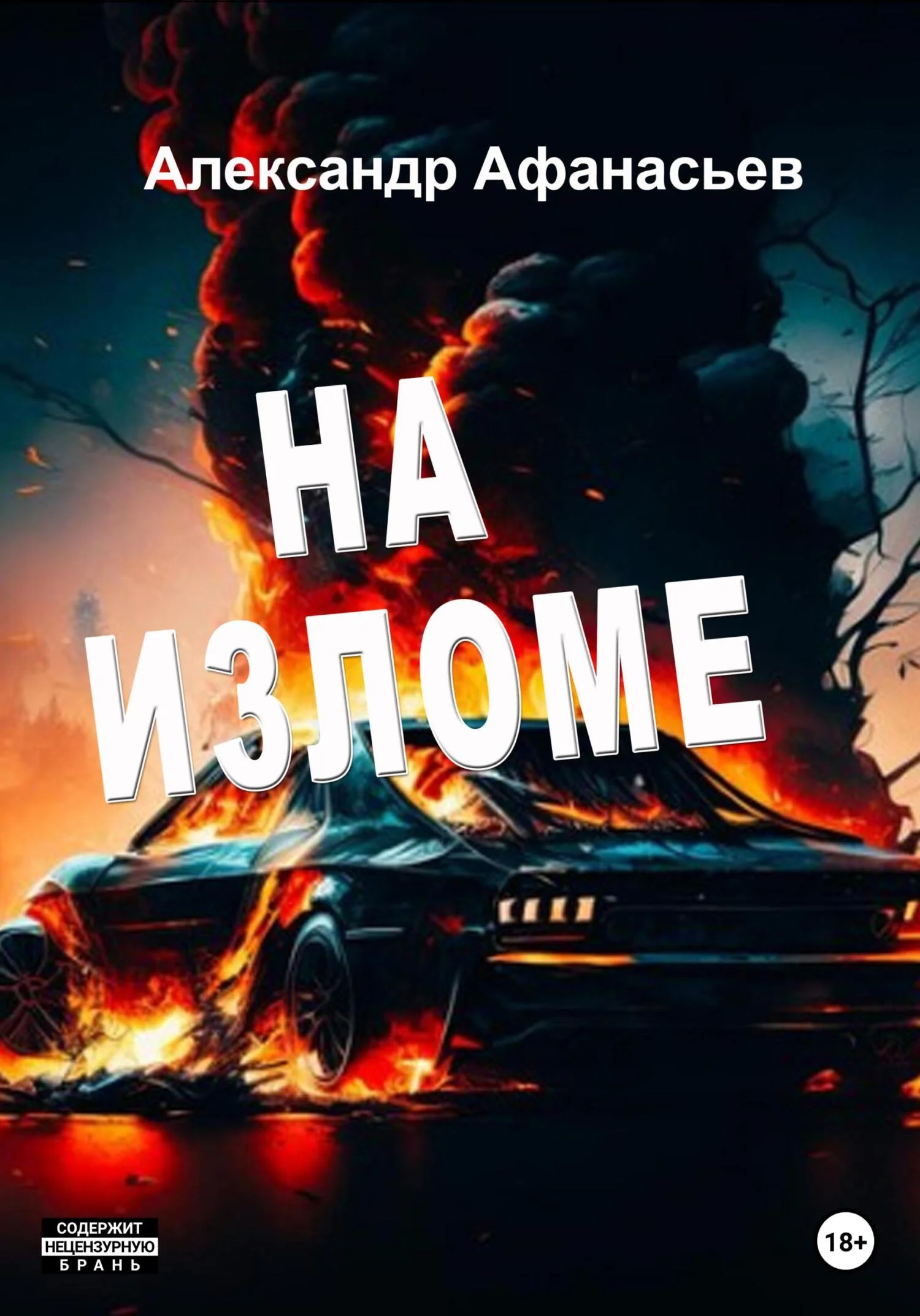 Обложка На изломе