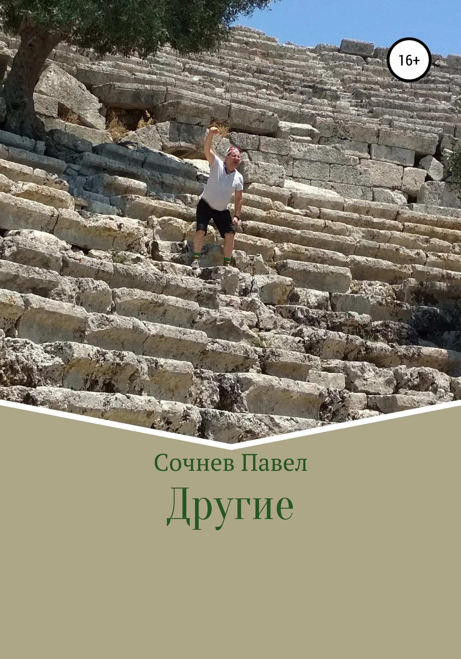 Обложка Другие