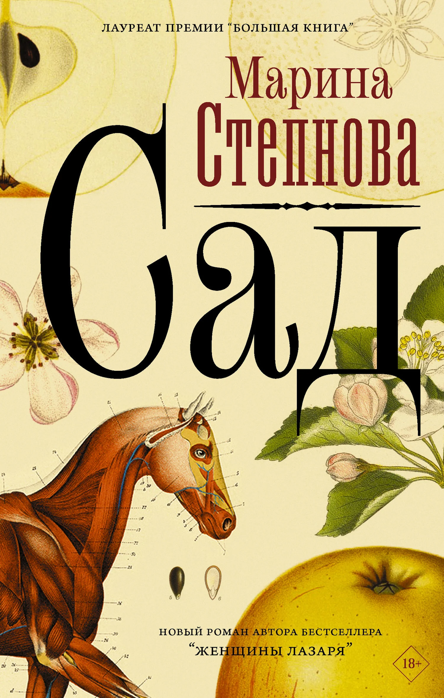 Обложка Сад