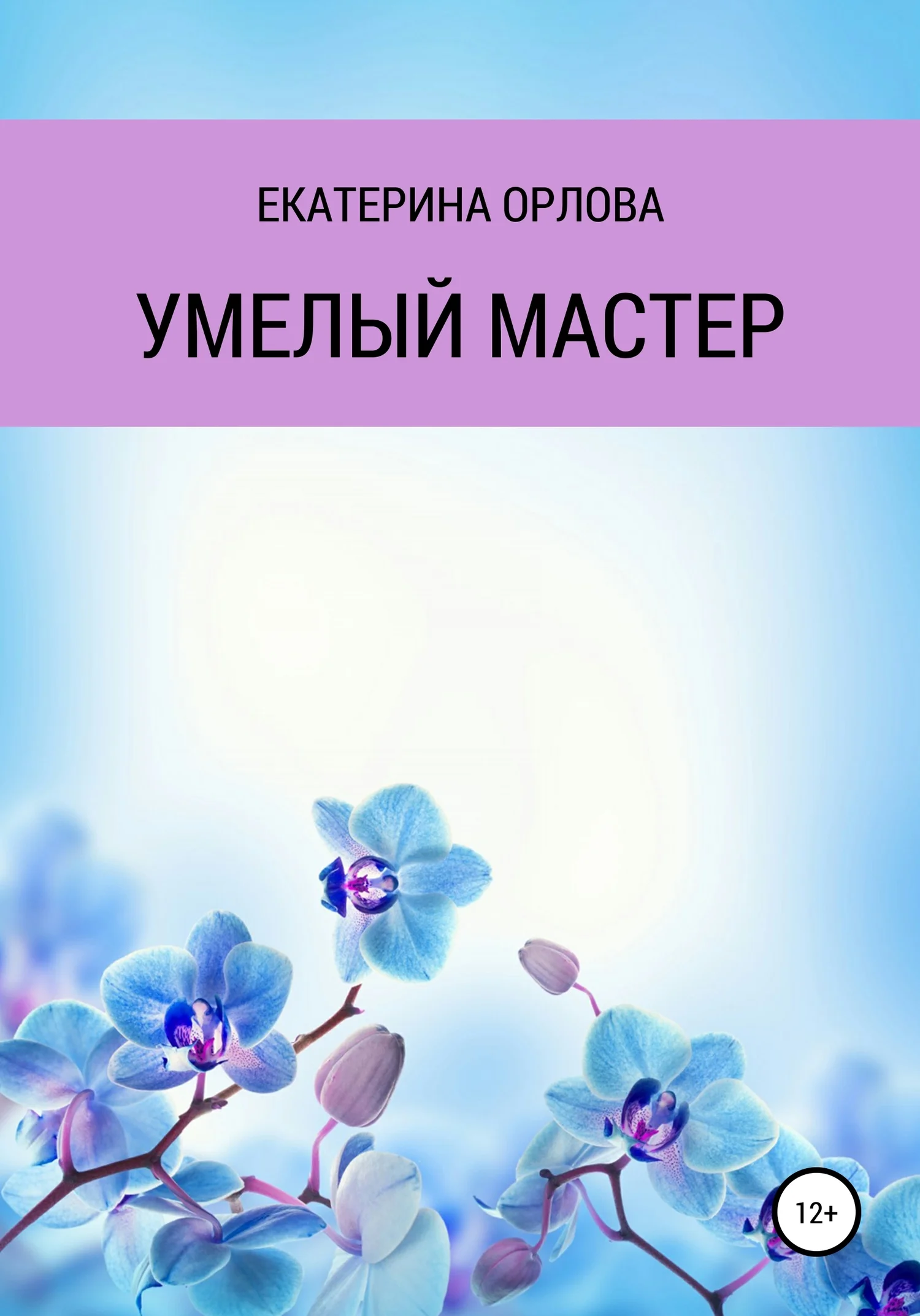 Обложка Умелый мастер