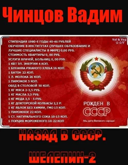 Обложка Назад в СССР. Шелепин 2