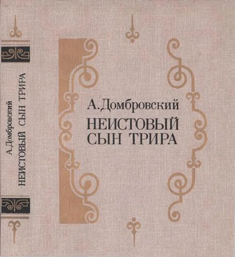 Обложка Неистовый сын Трира
