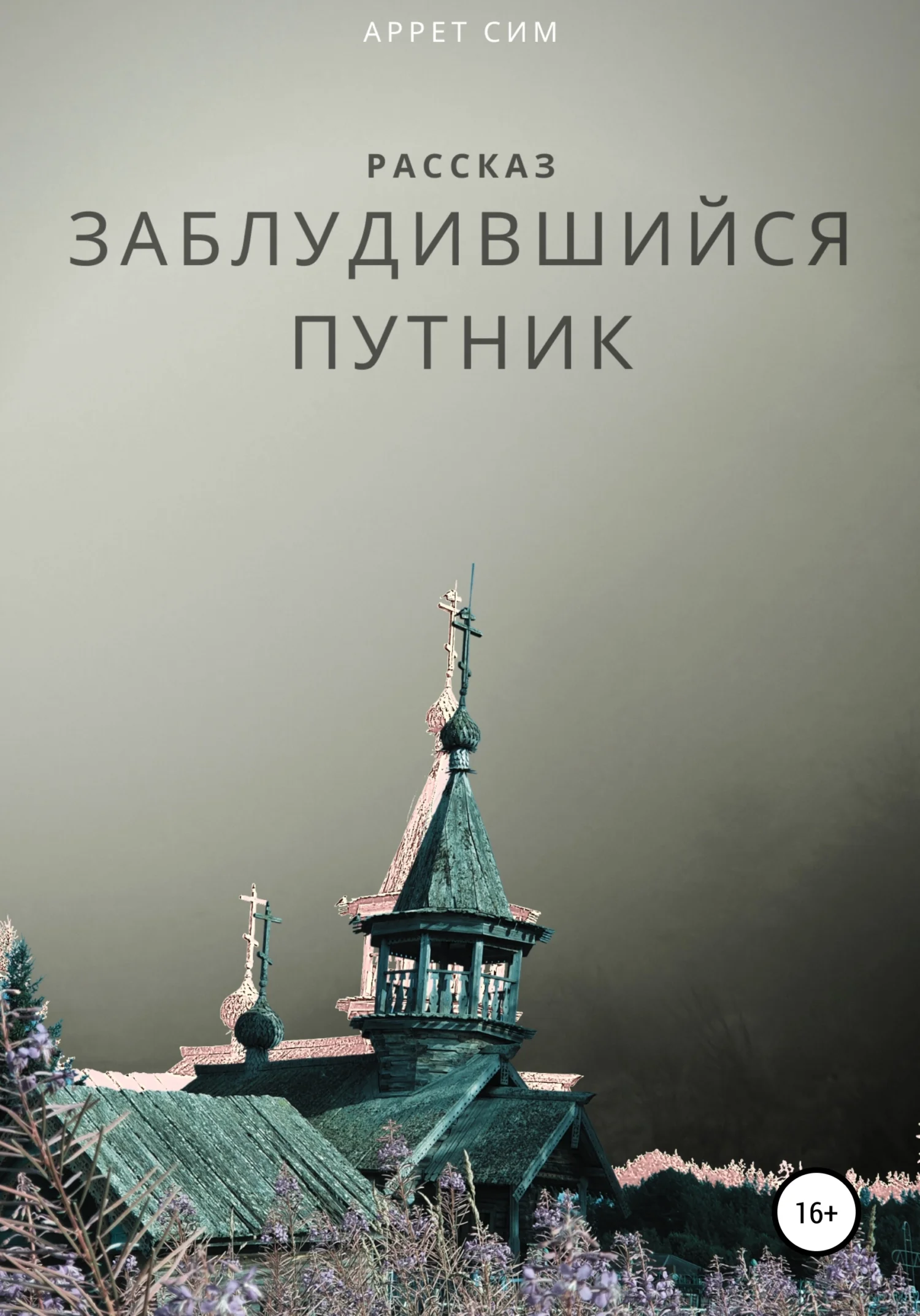 Обложка Заблудившийся путник