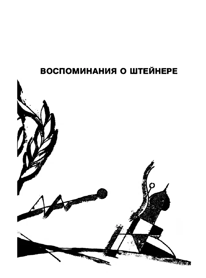 Обложка Воспоминания о Штейнере