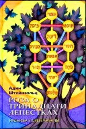 Обложка Роза о тринадцати лепестках
