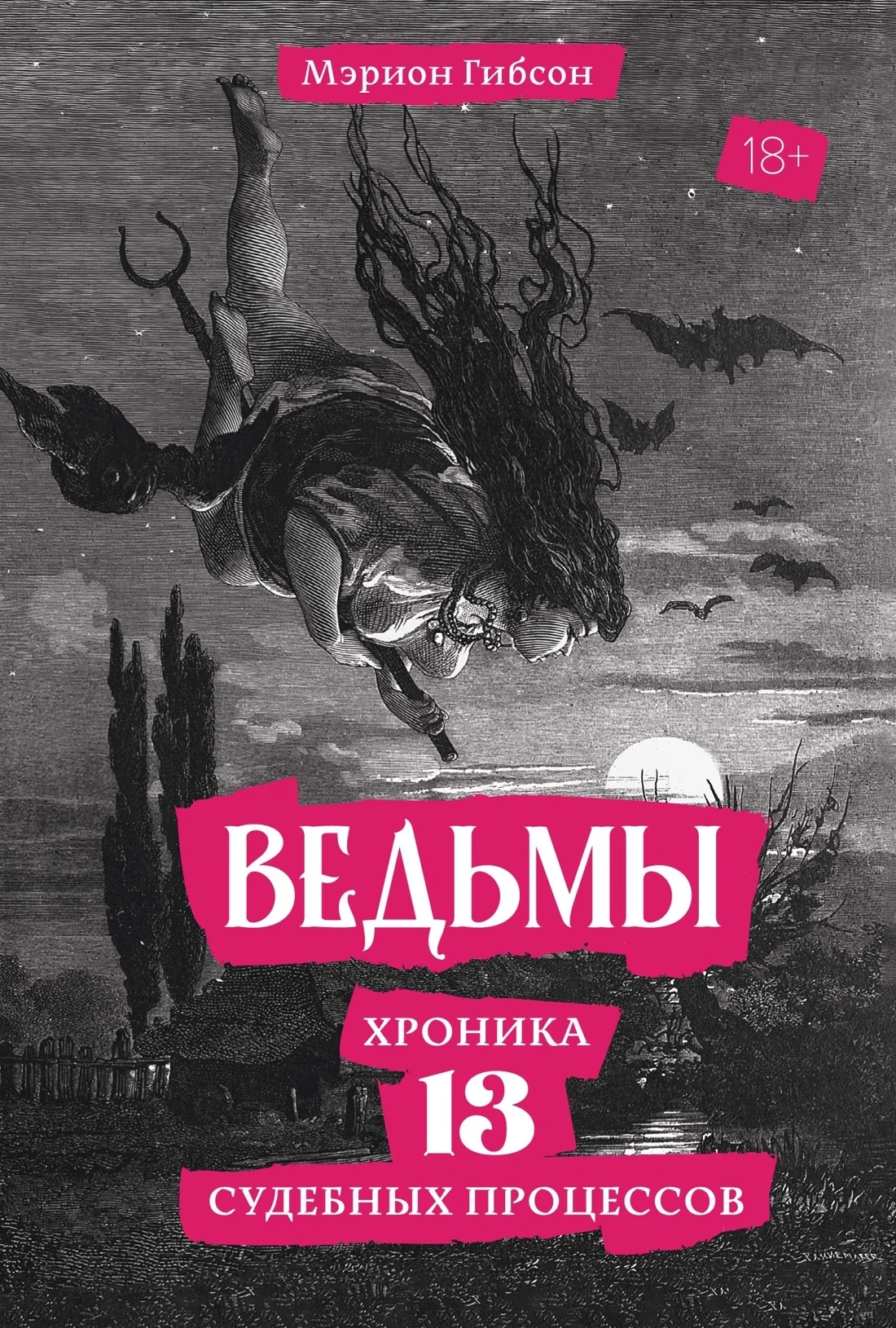 Обложка Ведьмы. Хроника 13 судебных процессов