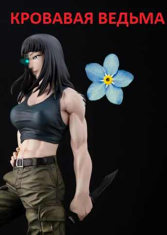 Обложка Кровавая ведьма