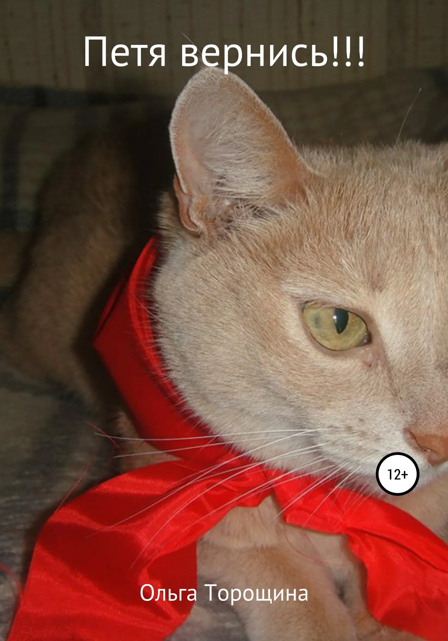 Обложка Петя, вернись!!!