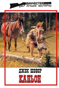 Обложка Каньон