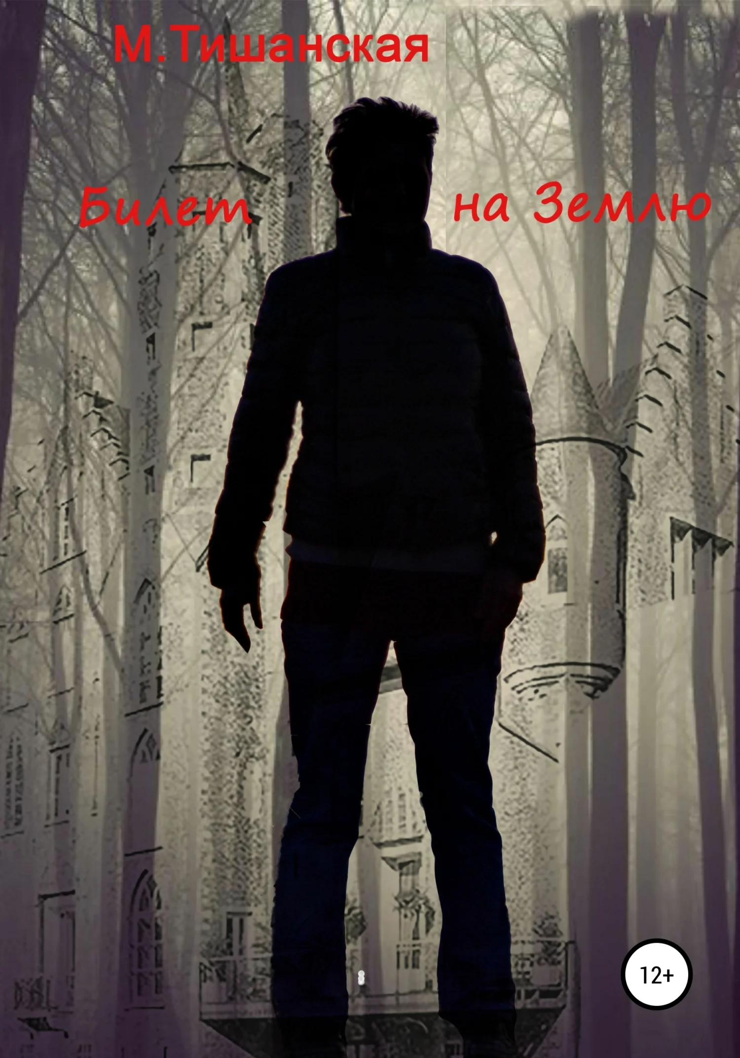 Обложка Билет на Землю