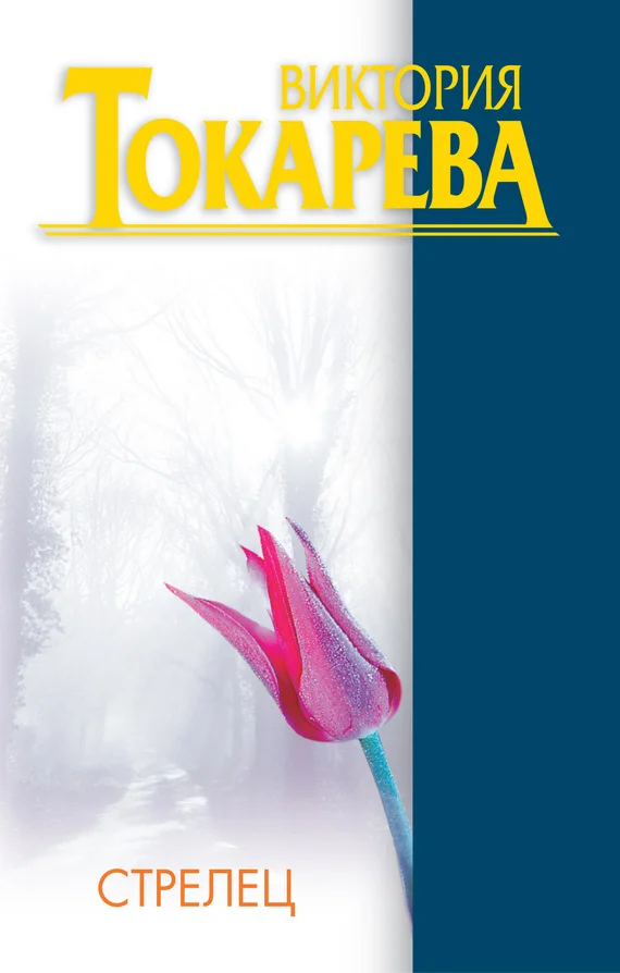 Обложка Стрелец