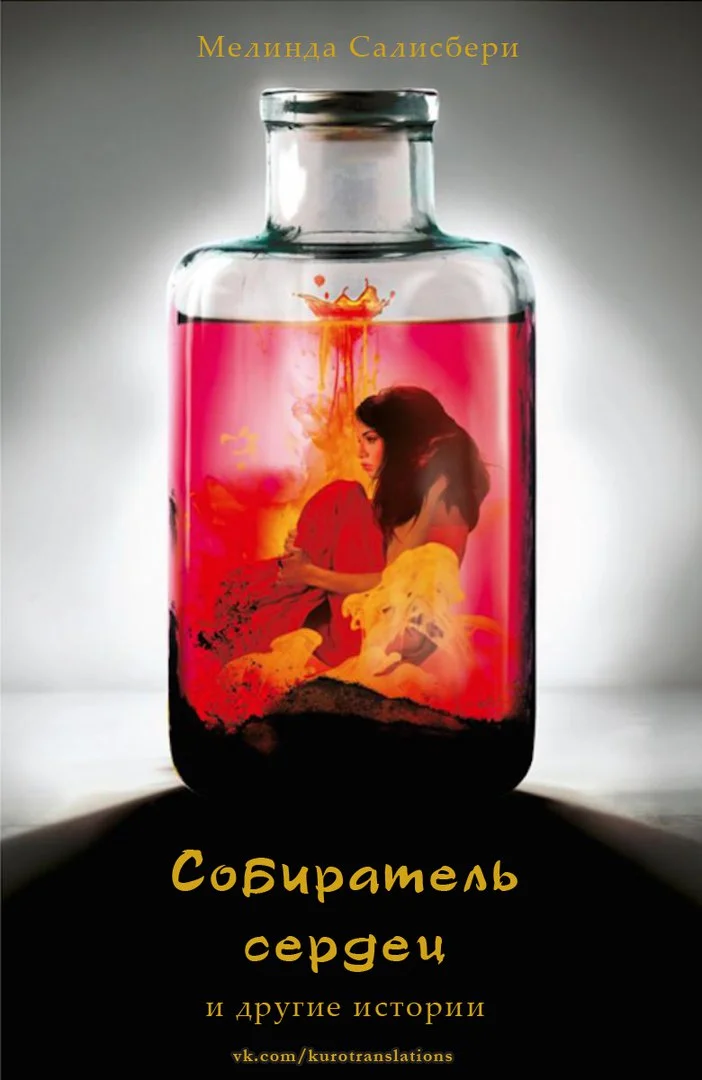 Обложка Собиратель сердец